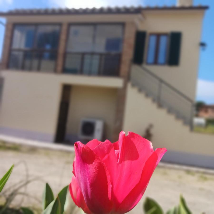 Casa Di Zio Villa Монтичано Екстериор снимка